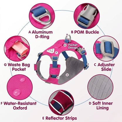 Lightweight Breathable Harness & Leash Set