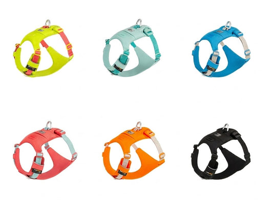 Hidden Pocket Harness & Leash Set