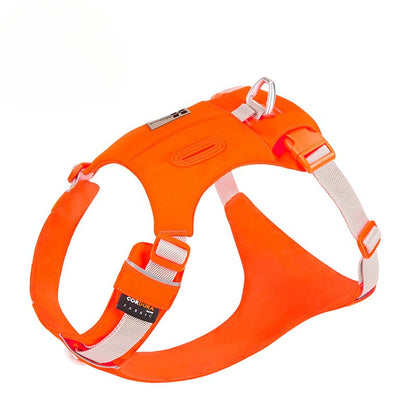 Hidden Pocket Harness & Leash Set