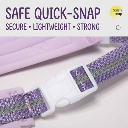 Reflective Mesh Harness & Leash Set