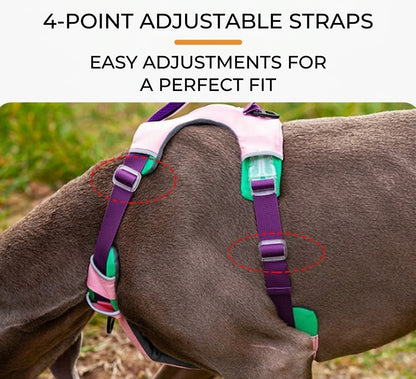 Reflective No-Pull Dog Harness