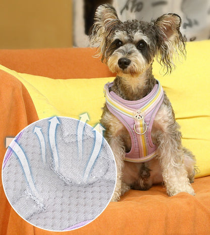 Macaron Striped Dog Harness for Dogs – Multicolor