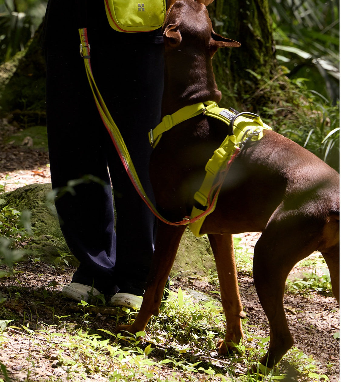 Reflective Adjustable Dog Leash