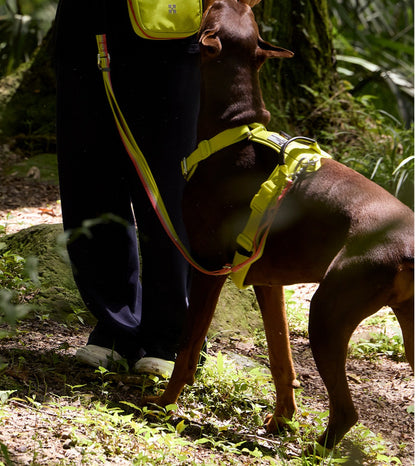 Reflective Adjustable Dog Leash