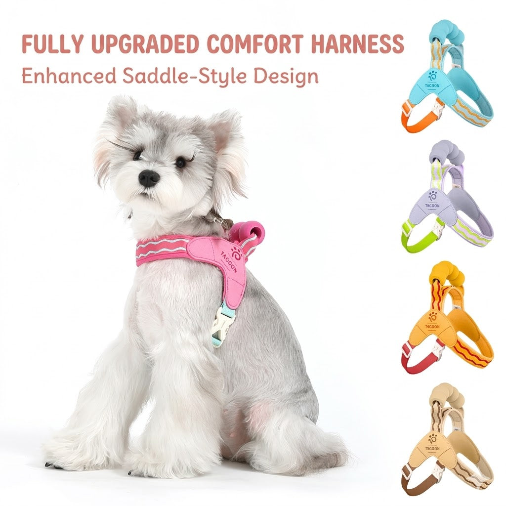 Wave Pattern Harness & Leash Set