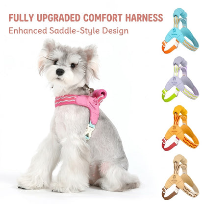 Wave Pattern Harness & Leash Set
