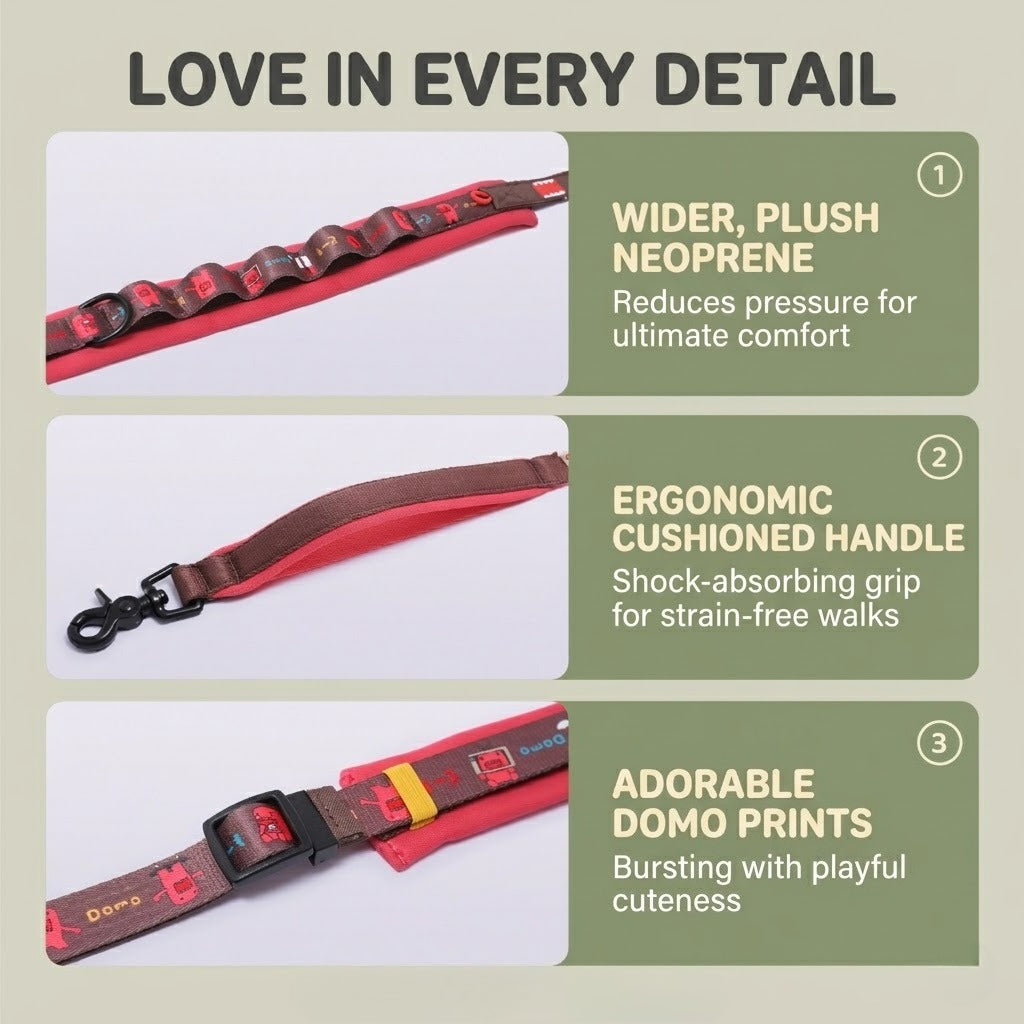 Multi-functional  Dog Leash