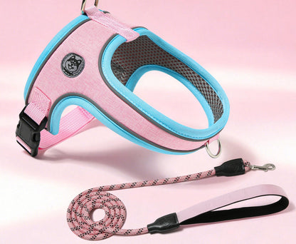 Reflective Saddle Harness & Leash Set