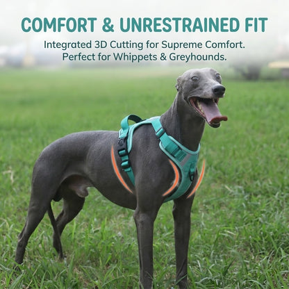 Reflective No-Pull Dog Harness