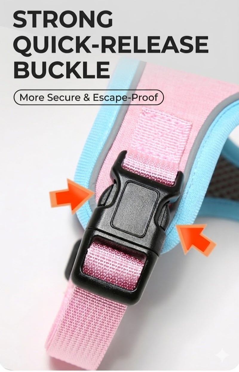 Reflective Saddle Harness & Leash Set