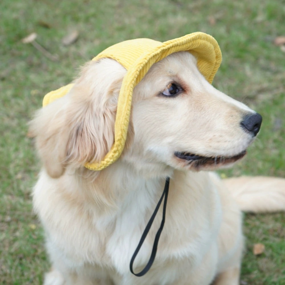 Corduroy Dog Hat