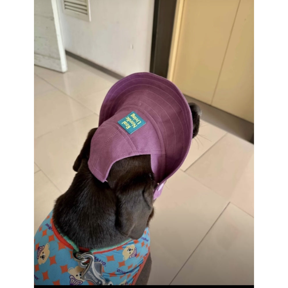 Breathable Sun Protection Dog Hat