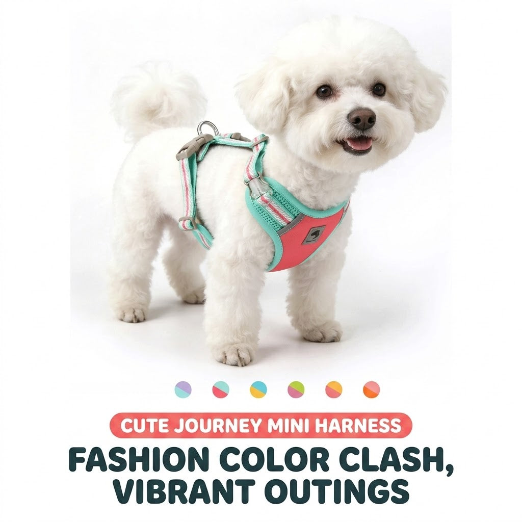 Reflective Mesh Harness & Leash Set