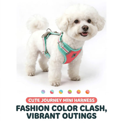 Reflective Mesh Harness & Leash Set