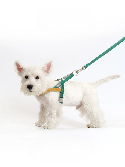 Lightweight Quick-Wear Harness & Leash Set