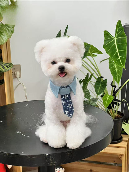 Sequin Denim Dog Bow Tie for Dogs – Multi