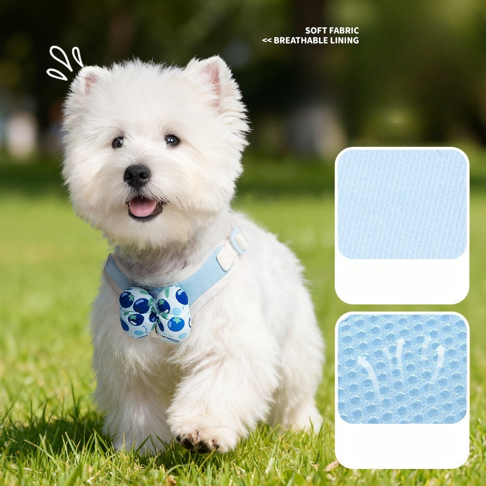 Fruit Pattern Harness & Leash Set